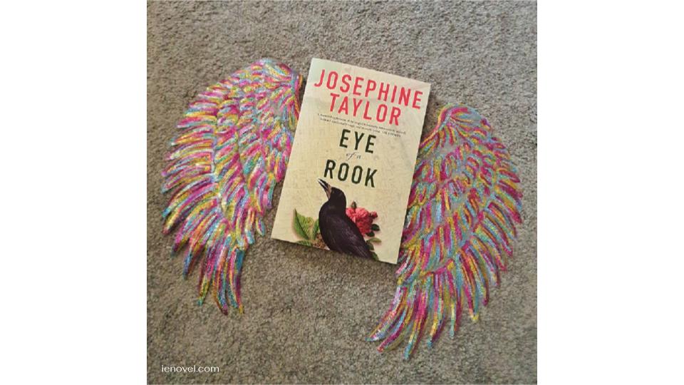 Eye of a Rook เป็นนวนิยายเกี่ยวกับชีวิตของคู่รักสองคู่ คู่รักคู่หนึ่งในเมืองเพิร์ธเมื่อเร็วๆ นี้ และอีกคู่ในอังกฤษยุควิกตอเรียน